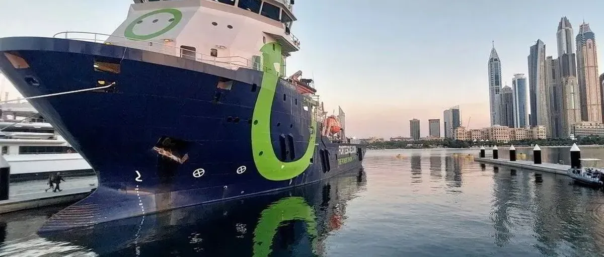 氢能与燃料电池行业研究报告,全球航运绿氢需求分析,多国氢能战略目标