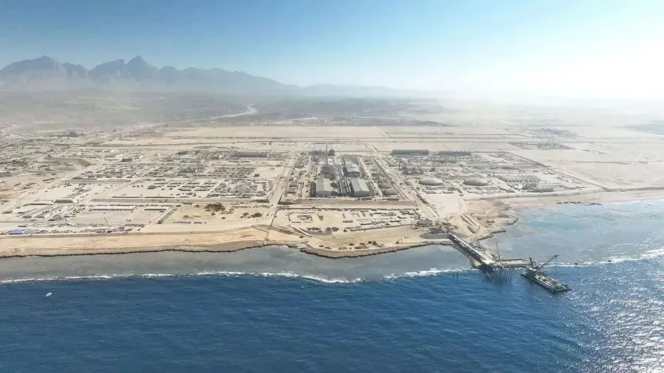 图1