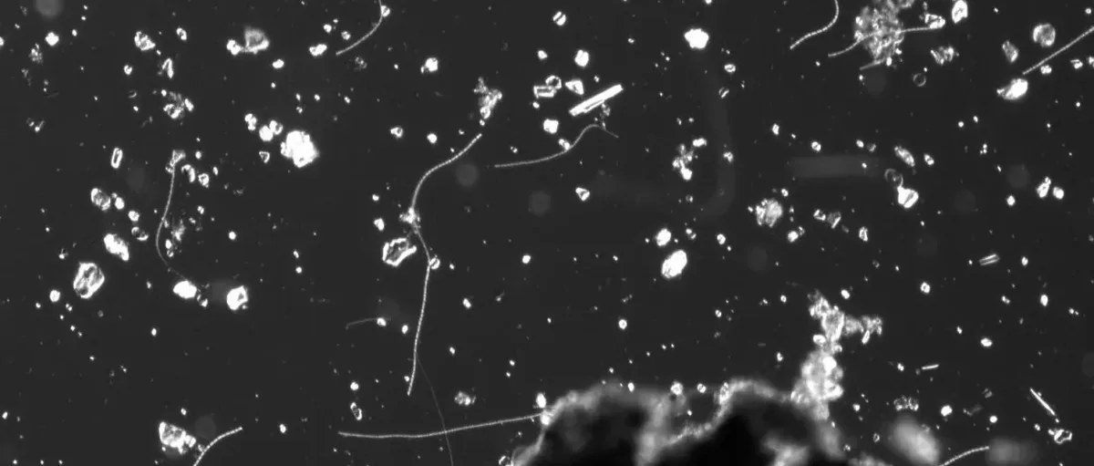 黑科技来袭！海洋微生物+钛玩转海水直接制氢