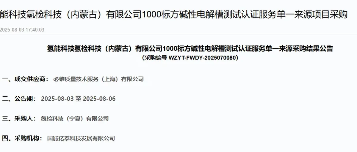 国家能源集团氢检科技内蒙古1000标方碱槽必维认证