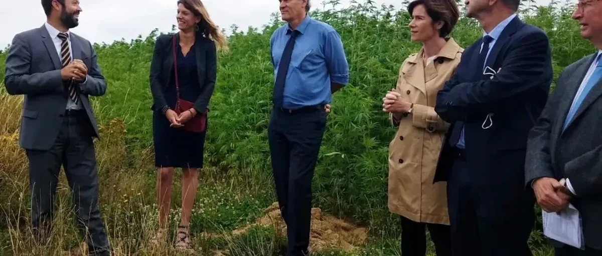 又两家氢能公司破产