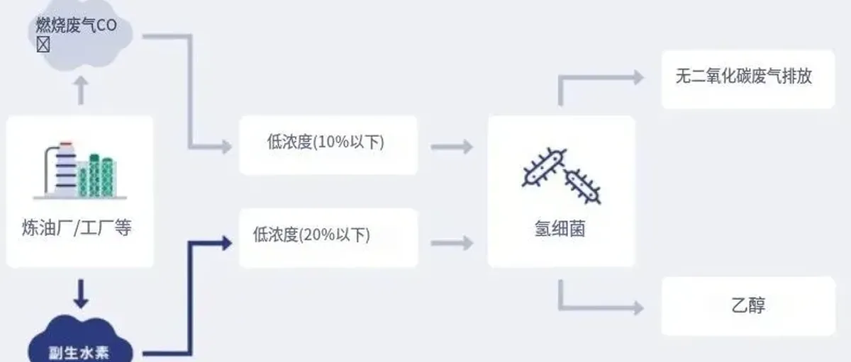 脱碳时代最现实的门槛:不是技术,而是价格