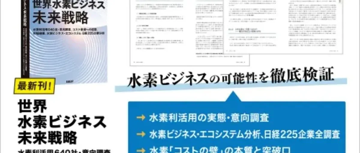 《世界氢能商业未来战略》:制定具体策略需要的知识