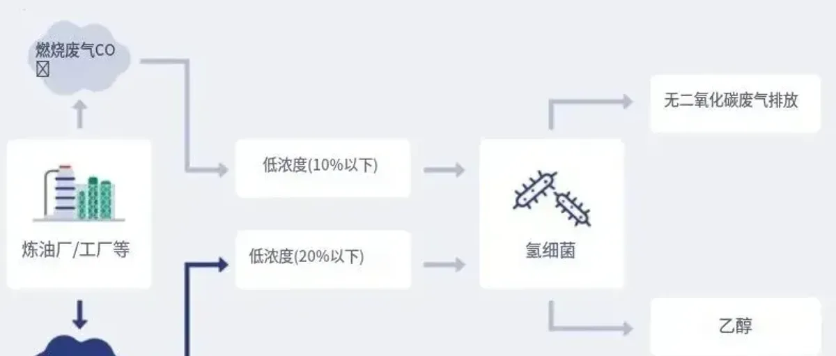 脱碳时代最现实的门槛:不是技术,而是价格