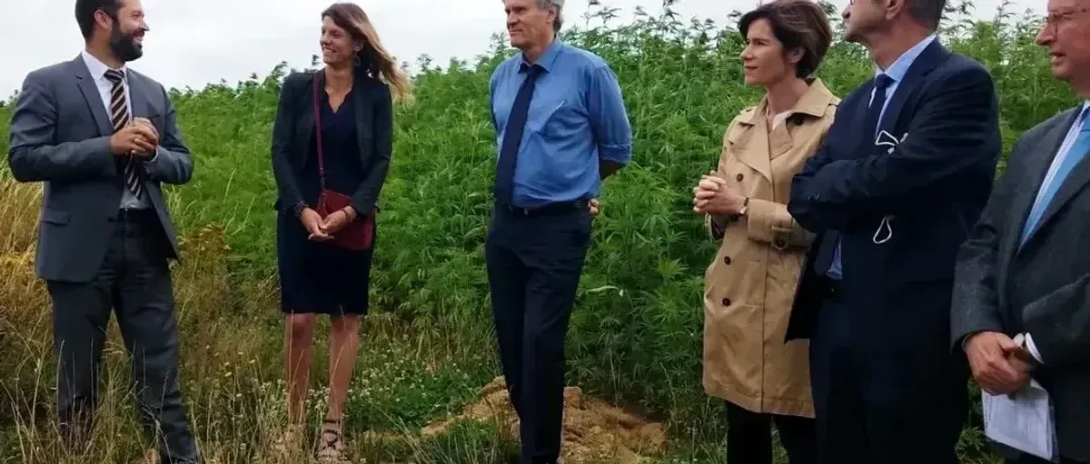 又两家氢能公司破产