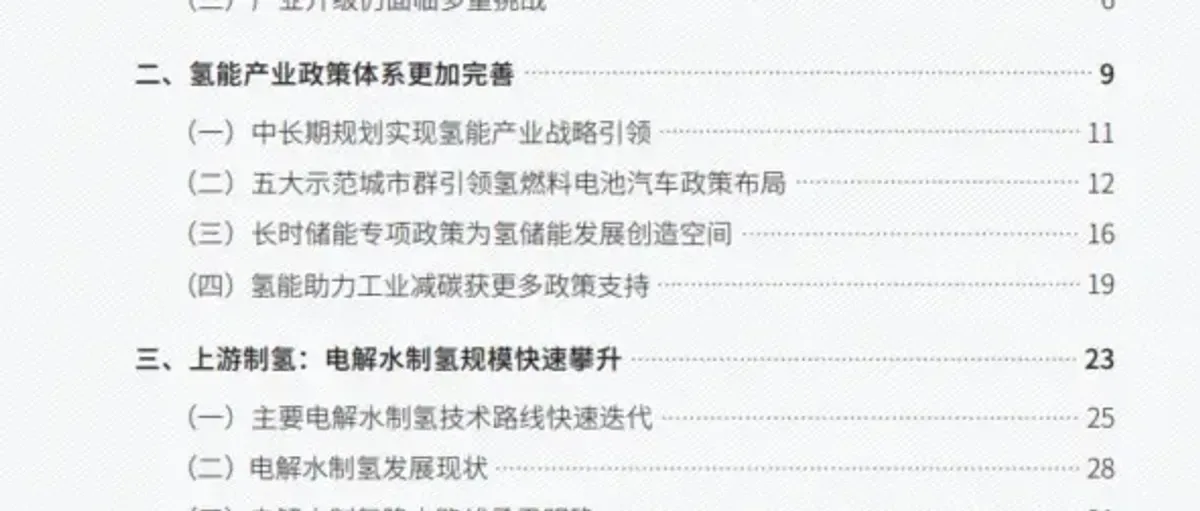 中国氢能产业发展报告2024推动绿氢制储输用一体化发展（全文）