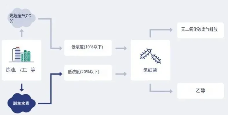 脱碳时代最现实的门槛：不是技术，而是价格