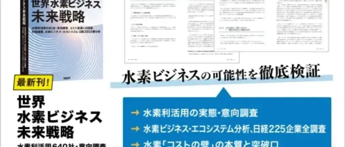 《世界氢能商业未来战略》：制定具体策略需要的知识