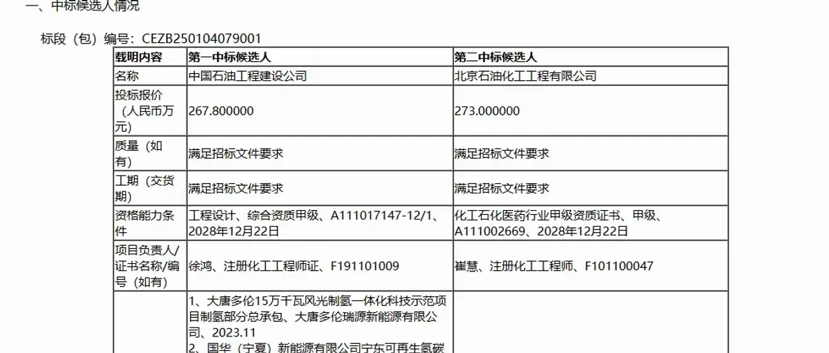 国华宁东可再生氢碳减排示范二期6000Nm³/h制氢厂设计预中标公示
