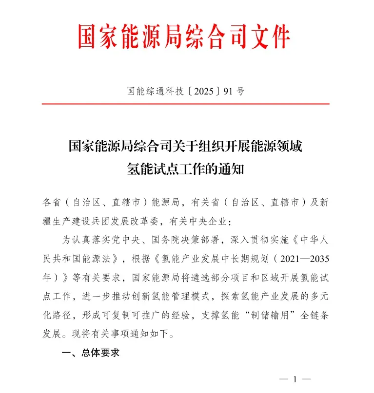 重磅！国家能源局开展能源领域氢能试点